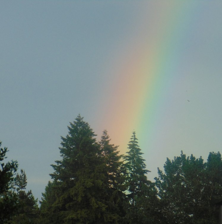 rainbow